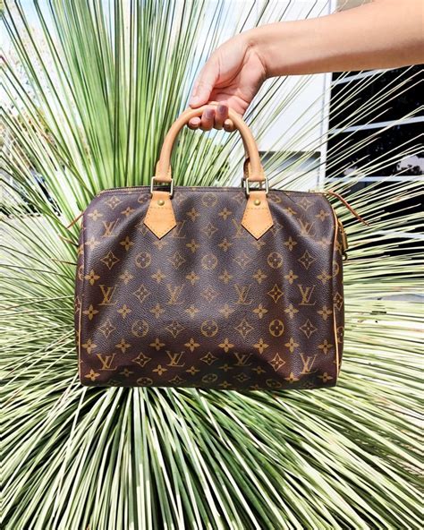 louis vuitton speedy price history|lv speedy 25.